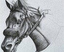 馬の鉛筆モノクロアイコン描きます 写真から制作｜繊細な鉛筆タッチ・モノクロ＋差し色対応 イメージ7