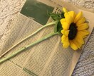 どんな悩みにも、より添いながら一緒に解決します 親子・対人関係の問題、恋愛、お金のトラウマ、浪費など イメージ1