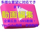 柔軟な対応で動画編集します 動画編集の細かい事などなんでもやります イメージ1