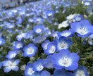 恋愛相談や同棲生活の質問などに答えます 恋愛相談・同棲生活について❁*·⑅ イメージ1