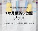 韓国語の質問や相談を1か月無制限で受けます 学習時の不明点や学習方法が相談し放題。初級〜上級まで！ イメージ1