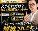 バイナリー攻略法おしえます 誰でもいつでも使える！みんなでプラ転しちゃいましょう⭐︎ イメージ1