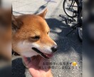 お話相手承ります 楽しい時間を過ごしましょう！！ イメージ1