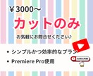 カット編集専門★見やすくテンポよい動画にします youtube対談や研修動画のカットのみ★20分3000円！ イメージ1