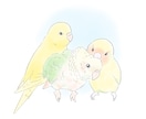 柔らかいテイストのペットイラストをお描きします ふんわり優しいタッチで可愛いイラストに仕上げます イメージ4