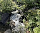 現役ウェディングフォトグラファーが撮影します 初めての方も大丈夫！あなたの魅力を写真で伝えませんか。 イメージ2