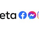 META広告/初期設定のご相談承ります ご相談内容に合わせたあなた専用のマニュアルをプレゼント！ イメージ2