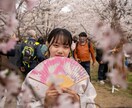 海外向けインスタグラムの設計・運用します 自社の海外インスタ獲得のノウハウを使って運用します イメージ5