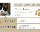 ネコさんの記録カード作成サポートをします 可愛い家族の成長記録や体調管理に使えるカードです。 イメージ4