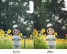 光と色を活かし、雰囲気のあるレタッチをします 子ども・家族写真を一枚ずつ丁寧に仕上げます イメージ4
