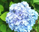 貴方の相談うけたまわります 一緒に考えて前に進む1歩を踏み出しましょう イメージ1