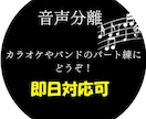 楽曲からボーカルの抽出／除去します 即日納品可（依頼内容による応相談）カラオケ、パート練習用に！ イメージ1