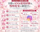 SNSの戦略・分析・改善を月額コンサルします 30日間SNS戦略支援｜最大2媒体・相談2回・分析レポート付 イメージ4