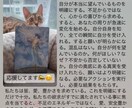 電話で心がほどける！オラクルカード引きます 電話で相談するだけで、迷いがほどける不思議体験 イメージ10