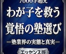 塾の実態を知るプロの実践ワークシートを届けます 「わが子を救う覚悟の塾選び」用の実践ワークシート イメージ6