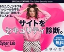 WEBサイトのセキュリティ、本格検査します ウェブアプリケーションの脆弱性を検出しレポート納品します イメージ1