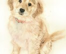 ふんわりやさしい水彩画でペットの似顔絵を描きます ｜インテリアやプレゼントに ｜犬・猫・小動物や鳥さんもOK♪ イメージ7
