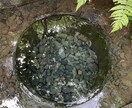 四柱推命にて◉あなたの本質◉お伝えします 心が軽くなる四柱推命アドバイス イメージ1