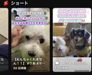 今流行り！YouTubeshorts動画編集します ちょっとした告知や新しいコンテンツをお届けしましょう！ イメージ2