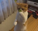 モヤモヤを言語化し整理しますます 気持ちの中身を分けて見ていきます イメージ5