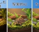 ペットの写真をベクター・イラストとして描きます ペットの写真を特別なイラストとして残したい飼い主様へ！ イメージ8