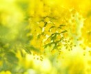 男性様向け✨✨女性の気持ちを代弁します 女心がわからない！/どう答えたら満足するの？/なぜ怒られた？ イメージ4