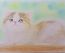 ペットなど、動物のイラスト描きます パステルと色鉛筆でふんわり優しい雰囲気の手描きイラスト イメージ2