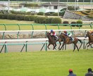 JRAが教えてくれない競馬の基本と穴法則教えます 競馬で勝てない。競馬の裏の基本と穴の法則を知らないからだ！ イメージ1