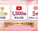 YouTube再生+評価+コメント増加します 圧倒的コスパ！3つ同時に増やせて2,500円〜⭐︎ イメージ2
