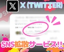 X⭐日本人フォロワー100人⭐増やします ♦️旧Twitter♦️高品質・ゆっくり増加も可❗️ イメージ2