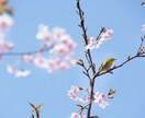 24時間無制限チャットし放題 あなたの心癒します 電話は苦手。でも寄り添ってほしい。そんなあなたの味方です イメージ5