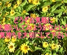 現在の状況から、あなたの未来将来を透視し占います ☯未来を知りたい☯希望の未来にしたい☯あなたへ易占通話鑑定 イメージ8