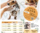 先着10名様価格！ペット専門のデザイン承ります 元動物看護師が作成するロゴ・チラシ・パンフ・ショップカード イメージ5