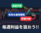専業投資家が先物オプション取引の基本構造を教えます 一時的ではなく、長く使える投資知識を伝授します！ イメージ2