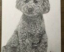 大事なペットの似顔絵描きます 可愛いペットの似顔絵を絵に残しませんか？ イメージ4