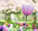 1時間チャット些細なお悩みも希望の光に導きます ここは心の駆け込み寺です。苦しい思いお聞かせください。 イメージ4