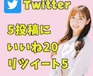 Twitter5投稿「いいね20+RT5」します リアルユーザーの日本人アカウントが手動で行います イメージ1