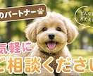 恋愛・人間関係、性の悩み聞きます 誰にも言えない悩み、ここで吐き出して下さい イメージ2