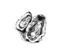 メニュー用ボールペンイラストをモノクロで描きます 手描きならではの味を活かしたレトロなボールペンイラストです！ イメージ4