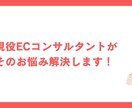EC運営【楽天市場】売上アップをサポートします 現役ECコンサルタントがお悩み相談します イメージ4