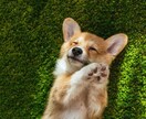 何でもお話聞きます 溜めないで思ってること全部話してください！ イメージ1