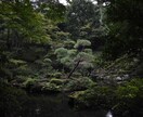 一都三県写真素材提供します スケジュールが許す限り希望に沿った素材を提供いたします！ イメージ4