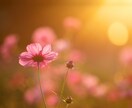 お仕事、職場のお悩み、愚痴、なんでもお聞きします 少しお話ししませんか。ほっとする電話相談 イメージ3