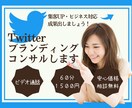 Twitterアカウント強化のためのコンサルします Twitterブランディングが得意な私がビデオ通話で対応 イメージ1