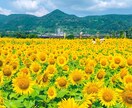 保育の悩み聞きます 幼少期(2歳児から)の育児の悩みをぶつけてください。 イメージ5