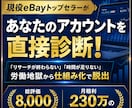 現役eBayトップセラーがアカウント改善診断します 総評価8千超！eBayトップセラーが業務の無駄を暴きます イメージ1