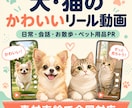 犬や猫の日常をかわいいリール動画に編集します 大切なペットの表情やしぐさを楽しく伝えます イメージ1