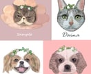 クローバーをのっけたペットの似顔絵描きます あなたの身近に癒しと特別な一枚を イメージ2