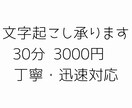 音声・動画の文字起こし承ります 丁寧・迅速対応｜60分音声48時間以内納品 イメージ1