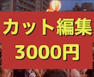 カット編集します めんどくさい作業…喜んで引き受けます！ イメージ1